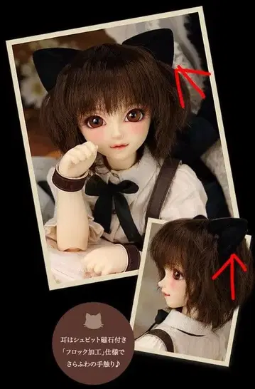 보크스 슈피트 새상품 SDC 검은 고양이 루네 고양이 귀 MSD.SDM.SD 등에