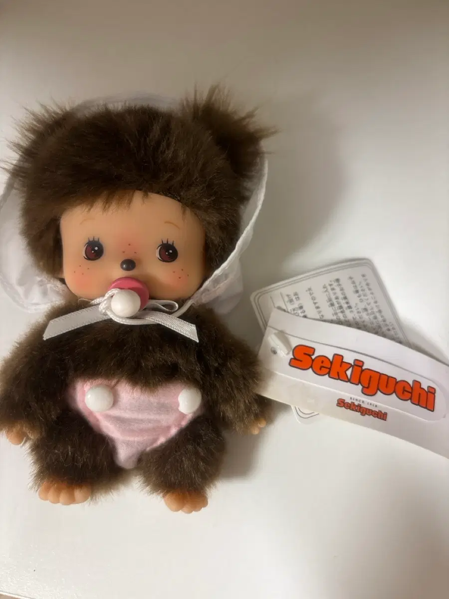 베베치치 여아 판매합니다