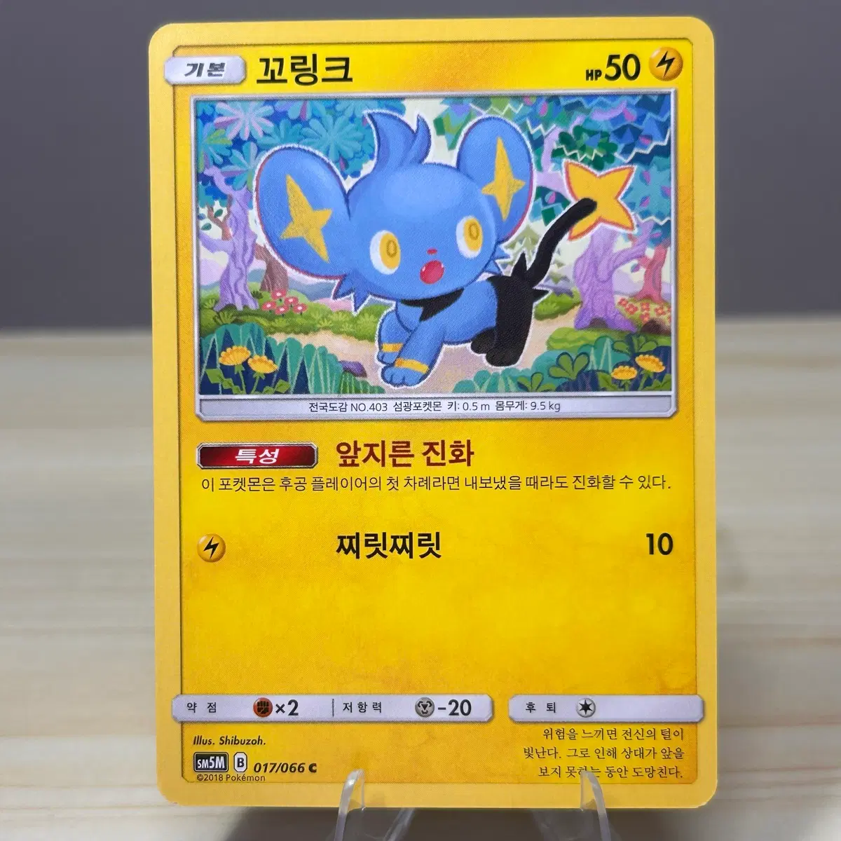 [고전 포켓몬카드] 꼬링크 sm5M 017/066 C