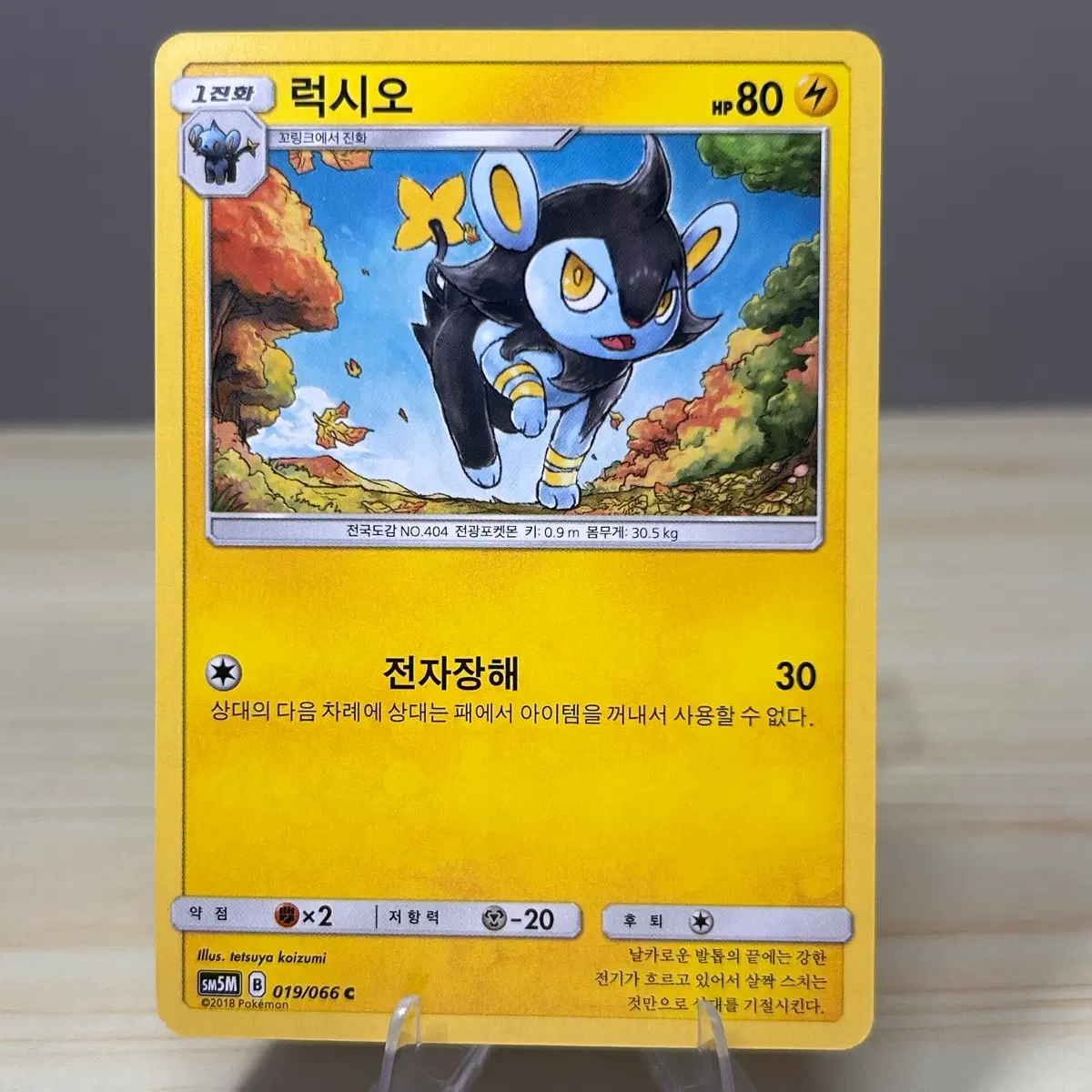 [고전 포켓몬카드] 럭시오 sm5M 019/066 C