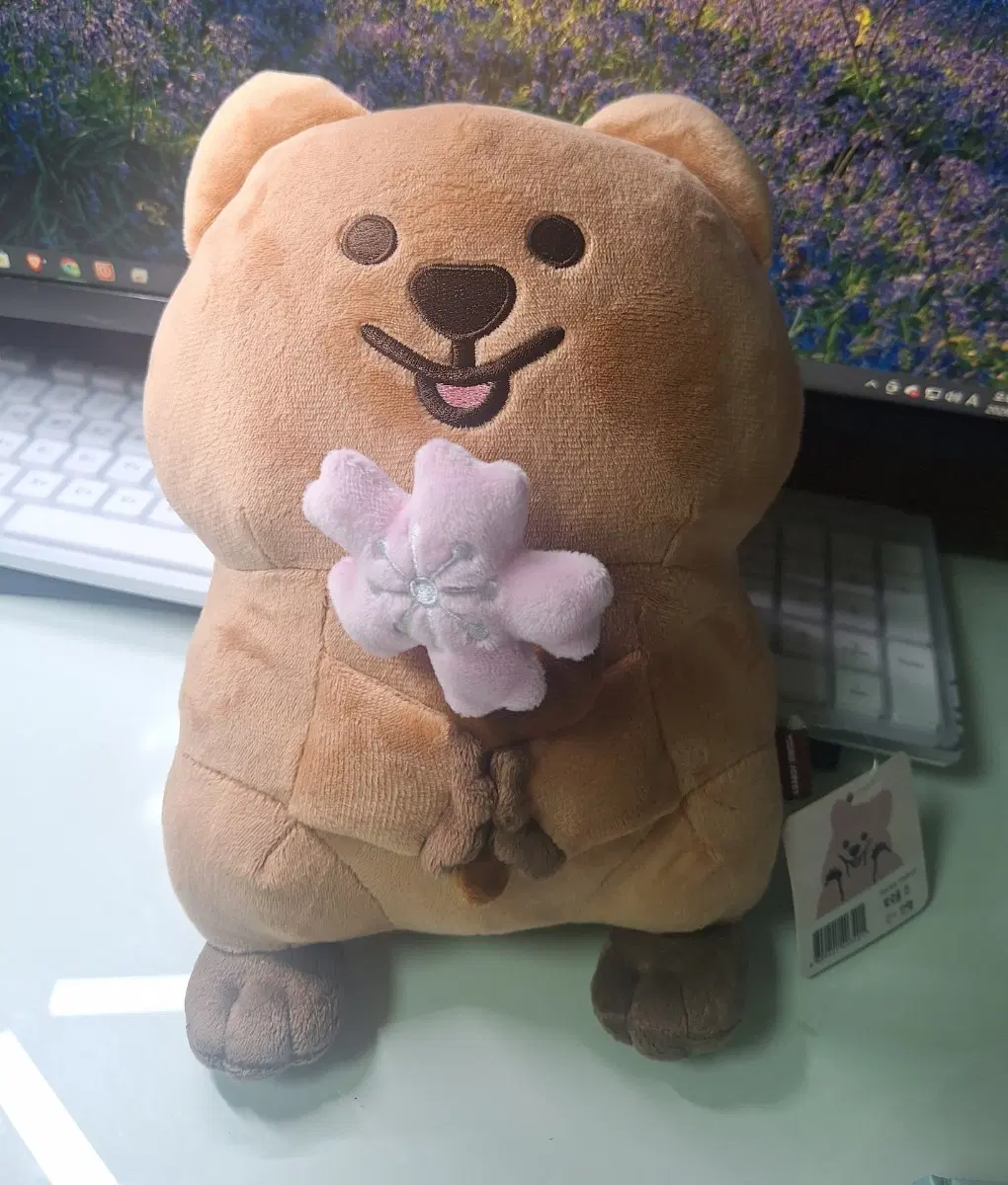 귀여운 쿼카 인형
