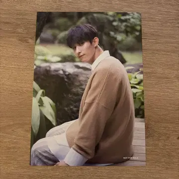 seventeen 도겸 엽서 dicon idealcut
