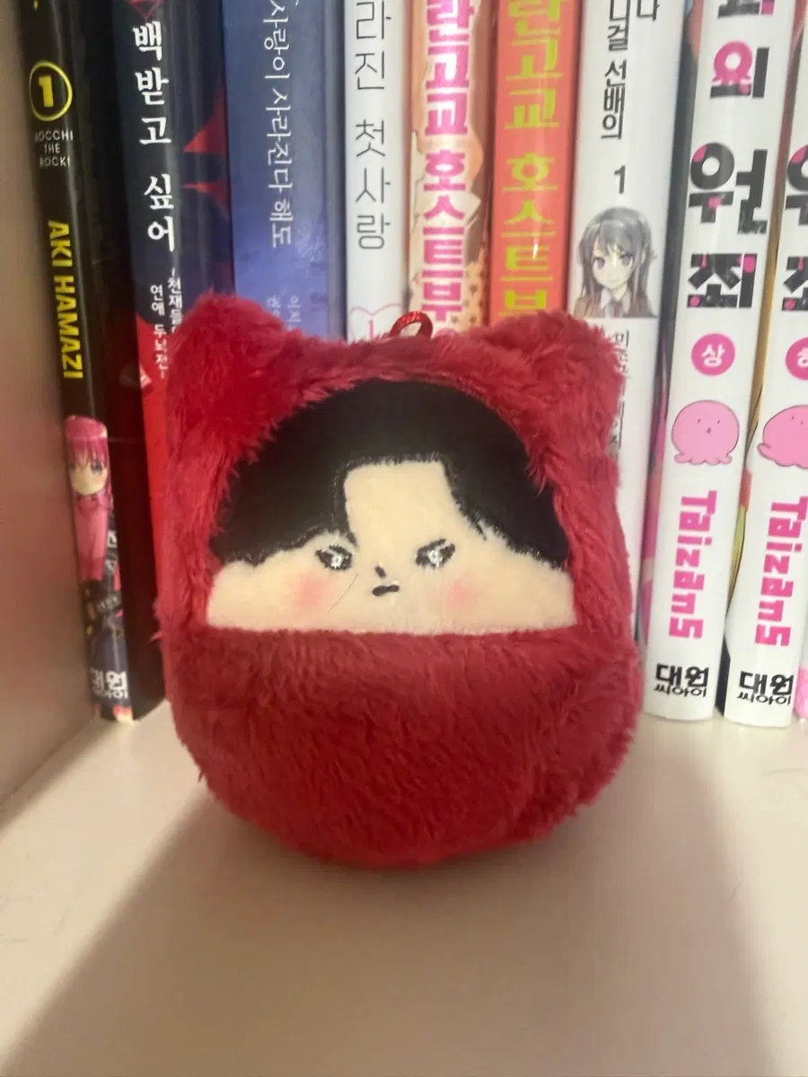외지주 복실이 인형 박형석 무형석 양도 외모지상주의