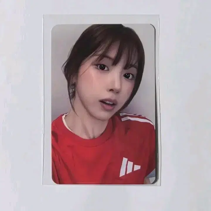 NMIXX/지우/포카+세레나데1종 양도