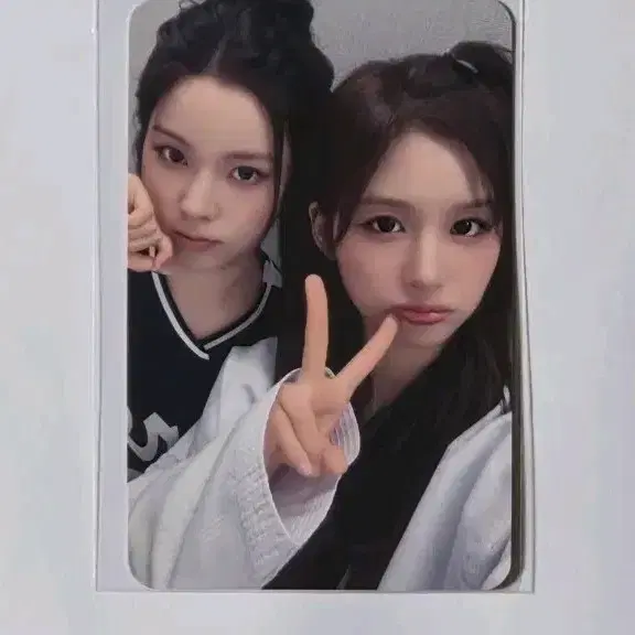 NMIXX/설윤 규진/포카+세레나데1종 양도