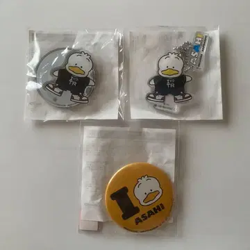 TREASURE 하피단부이 아사히 뻬끌