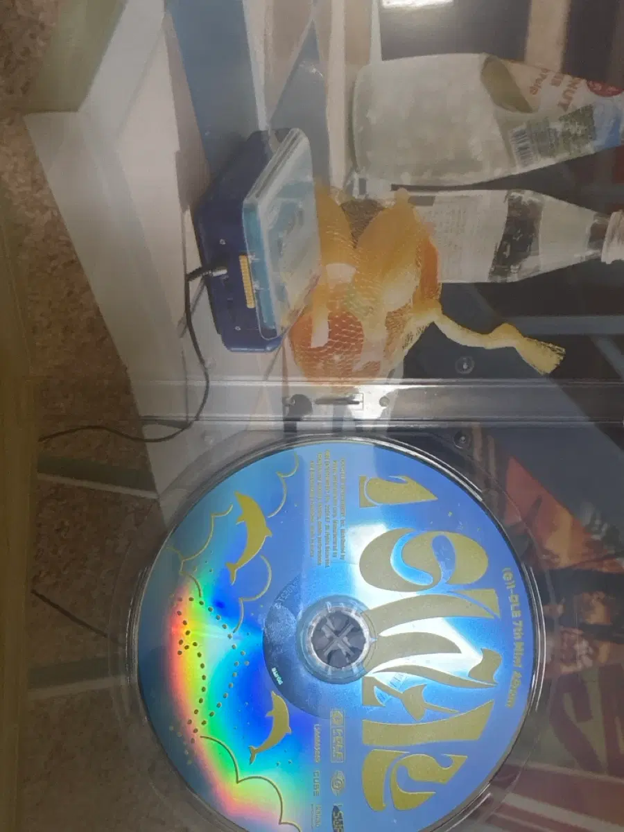 (G)I-DLE 7th Mini Album cd만