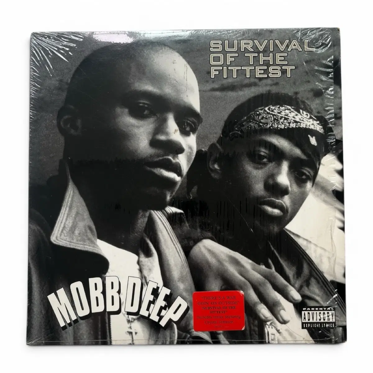 Mobb Deep - Survival Of The Fittest LP