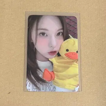 [ 희귀 ] NMIXX 베이 AMND 에버라인 럭드 포토카드