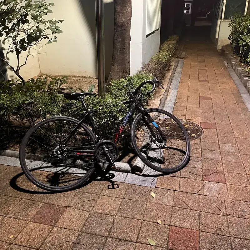 예거 매티 D3 디스크브레이크 로드자전거