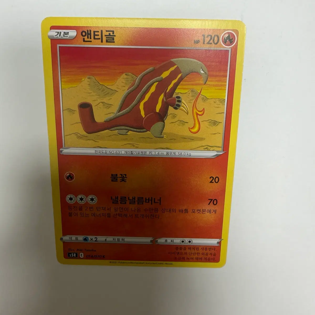 앤티골 포켓몬카드