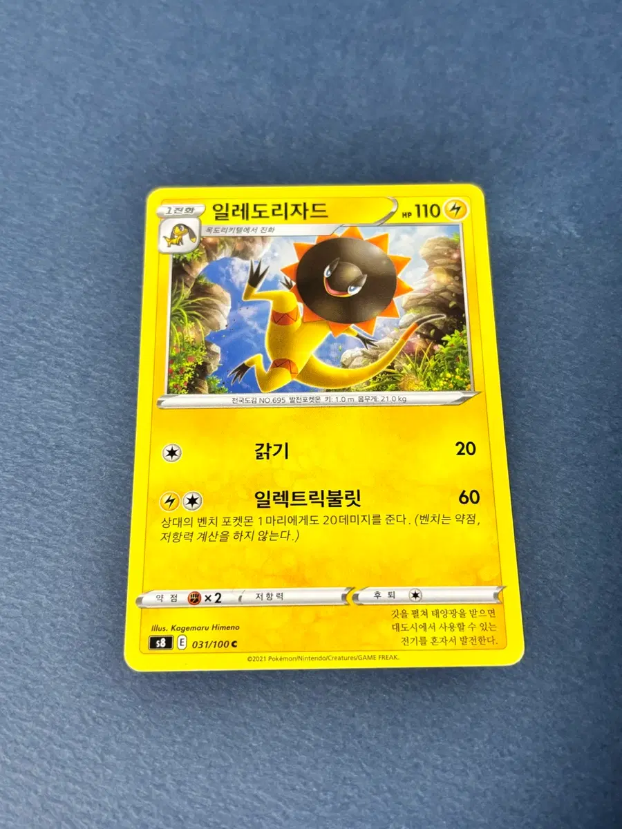 포켓몬카드 일레도리자드 일반카드 도감용 덱소스 s8 031/100