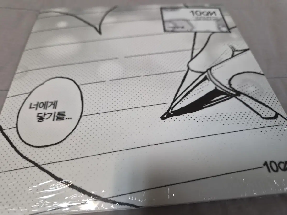10cm 너에게 닿기를 LP 바이닐