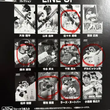 MLB 플레이어 클리어 파일 컬렉션
