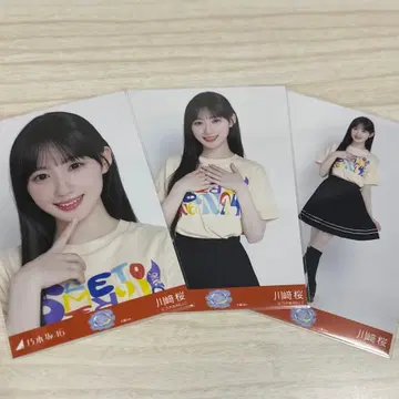 카와사키 벚꽃 브로마이드