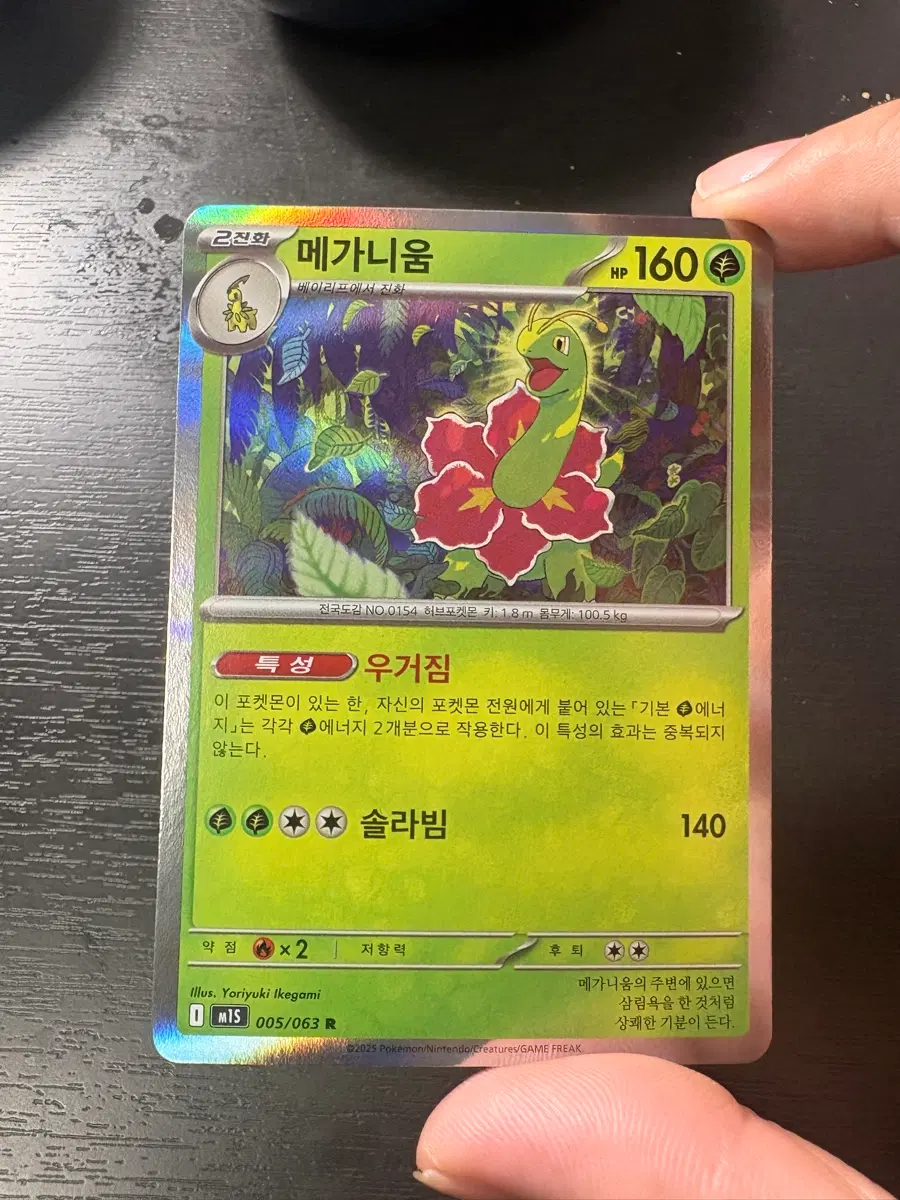 포켓몬카드 메가니움 R카드
