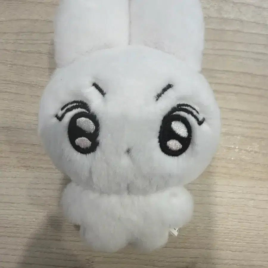 엔하이픈 양정원 양토 인형 양도