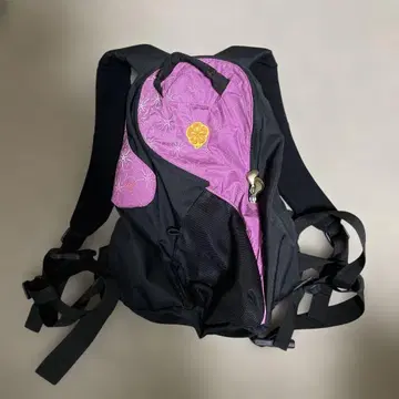 00s~90s NIKE 백팩 y2k 아웃도어 기믹