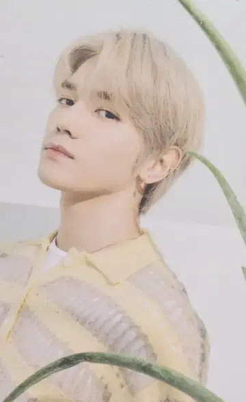NCT127 네이처리퍼블릭 태용 트레이딩 카드
