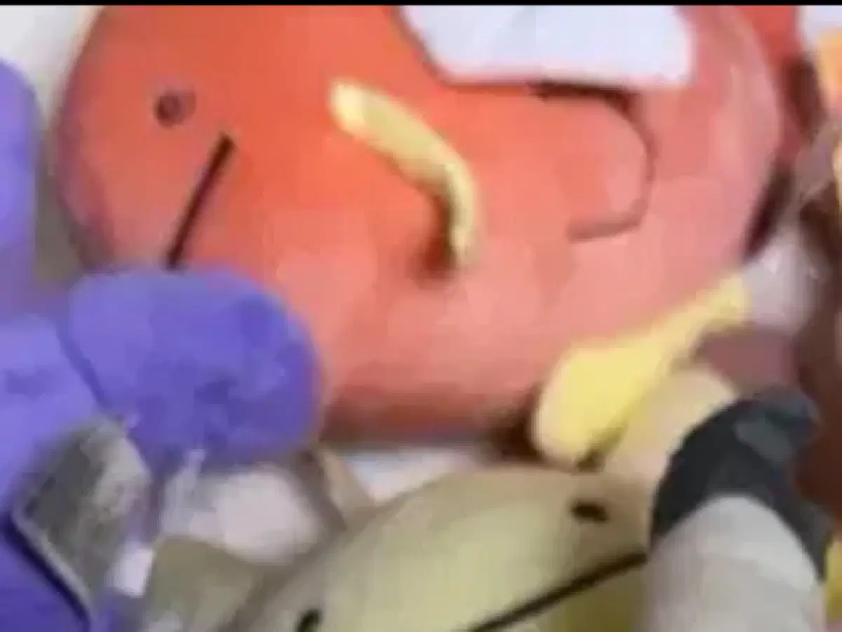 포켓몬 잉어킹 변신 메타몽 인형 메타몽놀이터 구입