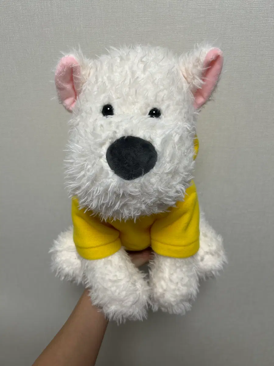 복실복실 귀여운 강아지인형