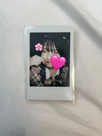 사쿠라바 하루카 폴라로이드