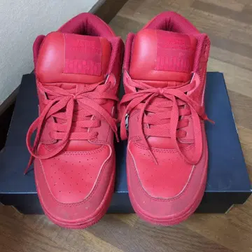 vans 하이컷