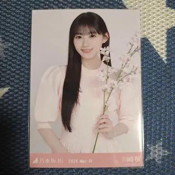 노기자카46 카와사키 벚꽃 컬러 코디 브로마이드