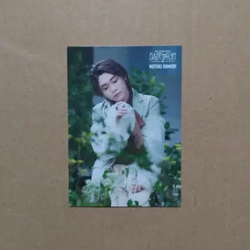 Mrs. GREEN APPLE 포토 카드 바벨탑 오오모리 모토키 008