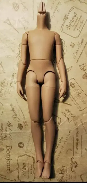 레어*배송비 포함*퓨어니모 프렉션 XS/남아 바디/탄/갈색