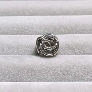 Pandora 실버 참 Together