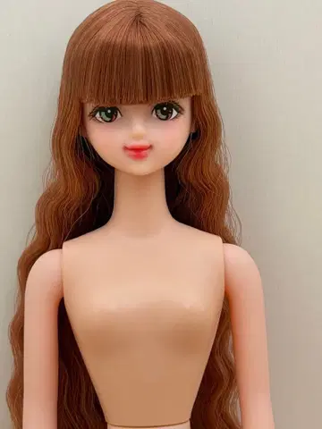 커스텀 메이크 리카짱 리카짱 캐슬 커스텀 메이크 사야카