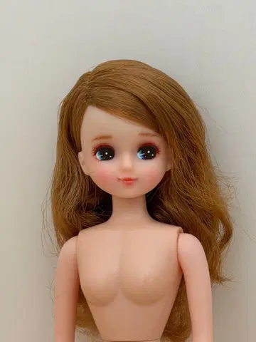 커스텀 메이크 리카짱 커스텀 리카짱 리카짱 캐슬