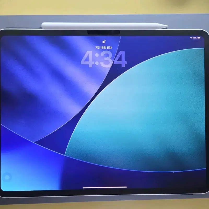 아이패드 프로 M4 13인치 1TB 셀룰러