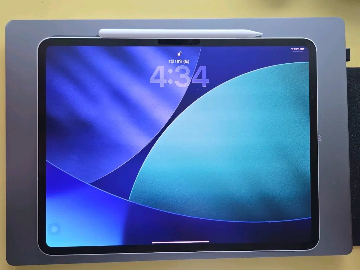 아이패드 프로 M4 13인치 1TB 셀룰러