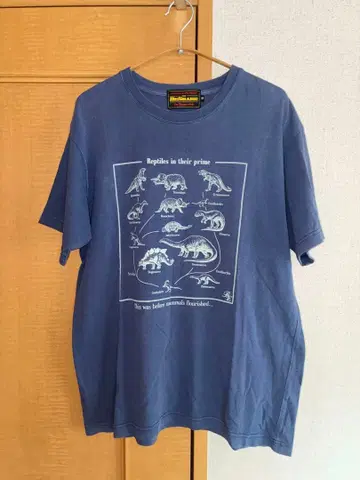 THE BE SHARE 공룡 프린트 T셔츠