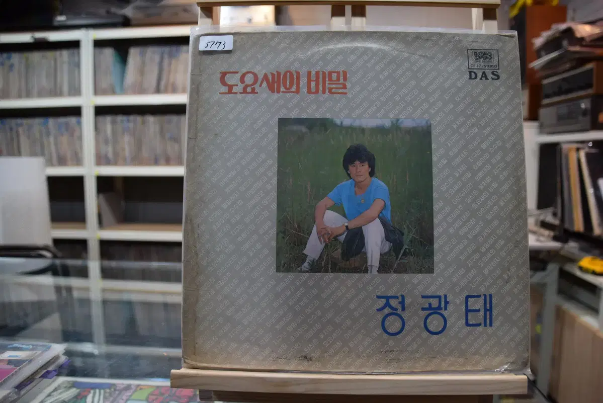 정광태 EX : 도요새의 비밀