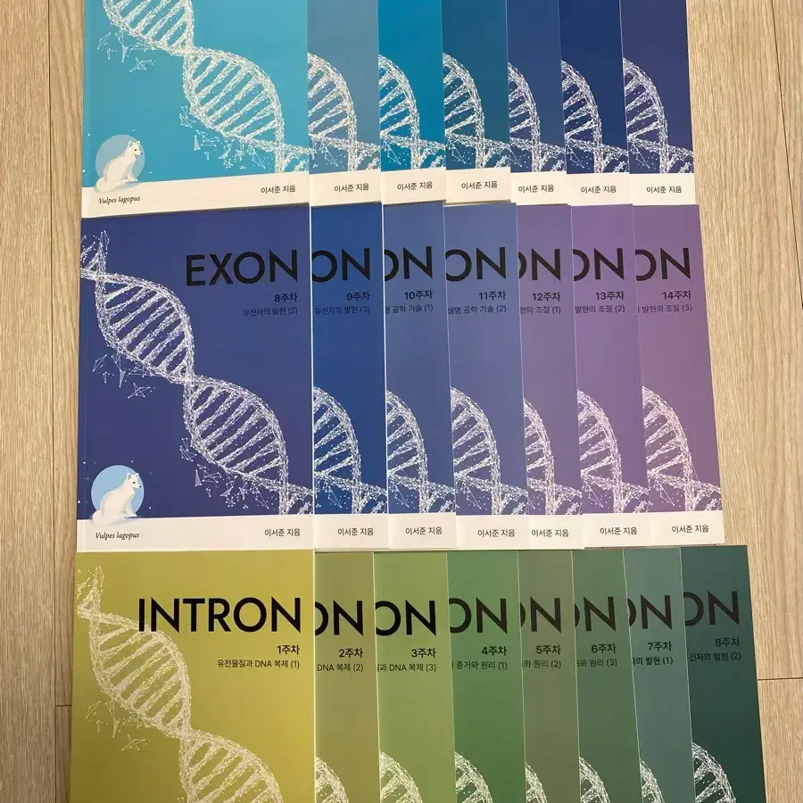 Exon Intron 전체 + 2026 adapterN