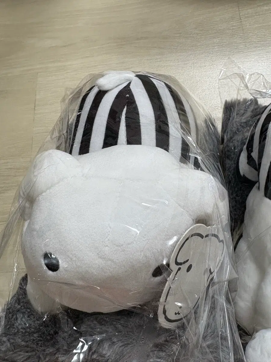 가나디 하양이 제습요정 차량 인형 중형인형 블랙 새상품