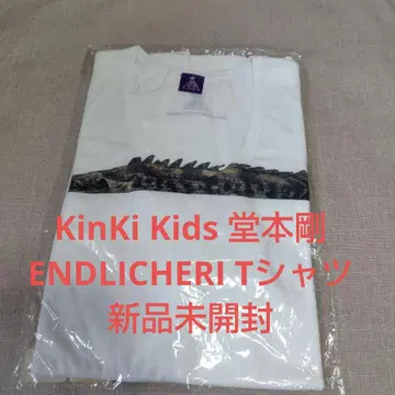 KinKi Kids 도모토 츠요시 ENDLICHERI T셔츠 미개봉 새상품