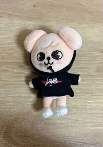 SKZOO 봉제 인형 승민 PuppyM mini