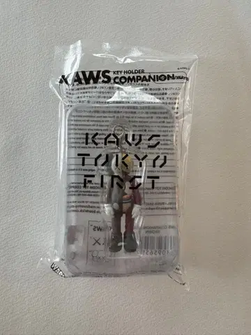 KAWS TOKYO FIRST COMPANION 키링