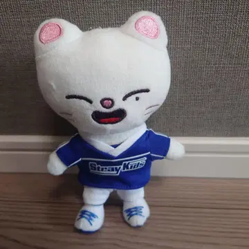 Straykids SKZOO 지니렛 현진 백참