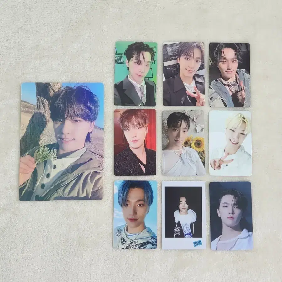 세븐틴 디노 포카+위버스특전 일괄