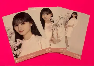 카와사키 사쿠라 노기자카46 브로마이드 벚꽃 컬러 코디 컴프