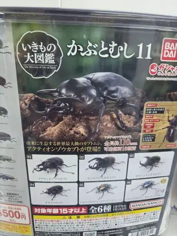 가챠 생물대도감 딱정벌레 11 흰테두리 초록뿔 풍뎅이 블루 레어