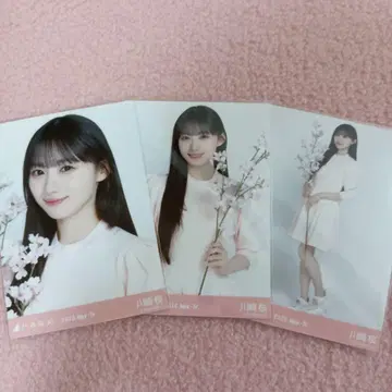 노기자카46 생사진 카와사키 사쿠라 벚꽃 컬러 코디 사쿠라 컬러 코디 3종 컴프