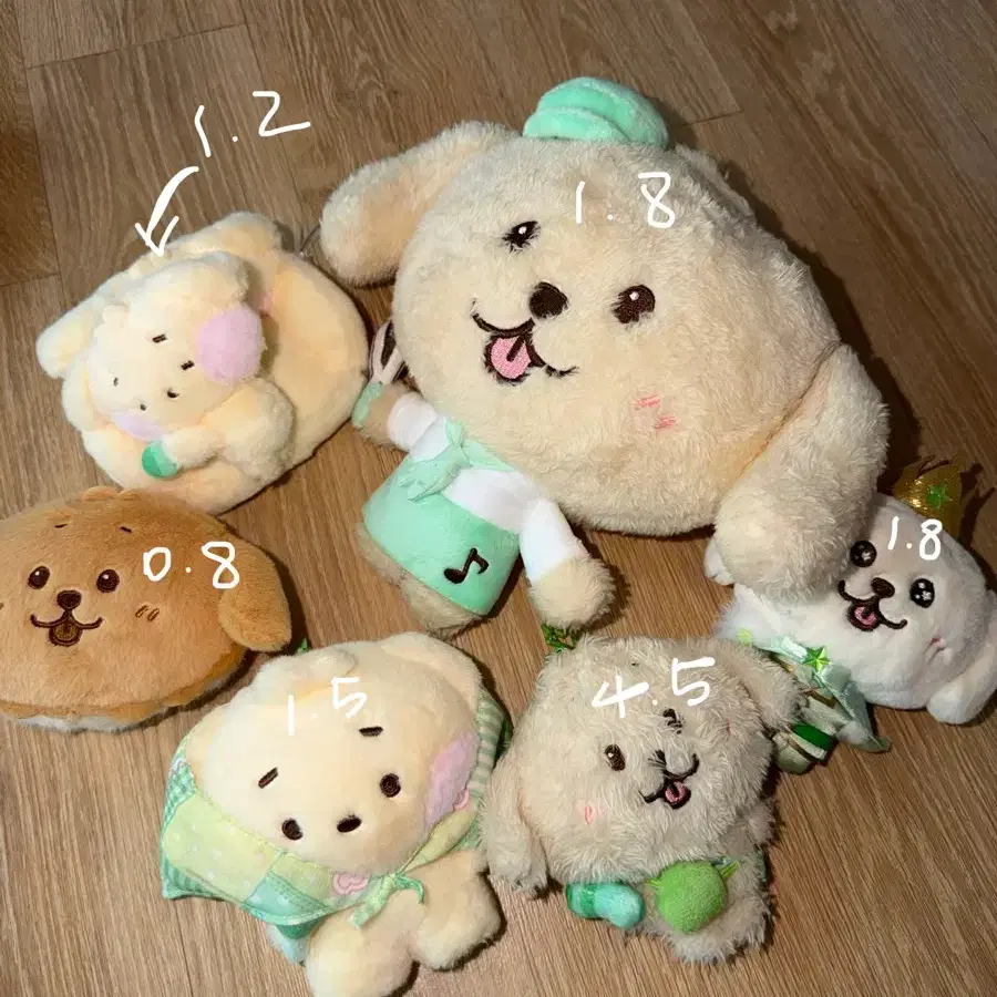 엔시티 위시 양도