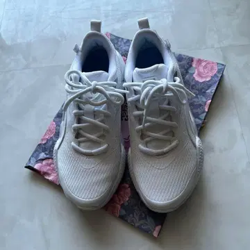 PUMA 골프화 여성용 24