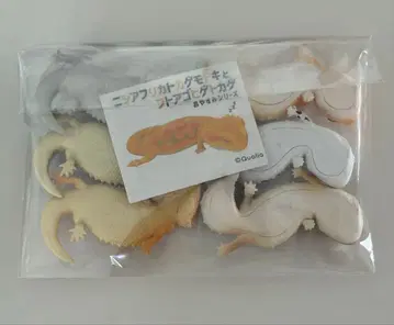 니시아프리카 도마뱀붙이와 아프리카 물왕도마뱀 잠꾸러기 시리즈 컴플리트 세트
